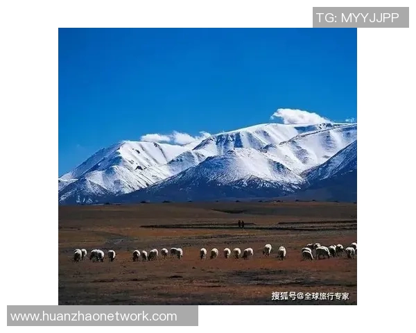 在西藏的神秘高原上与篮球明星不期而遇的奇妙经历分享